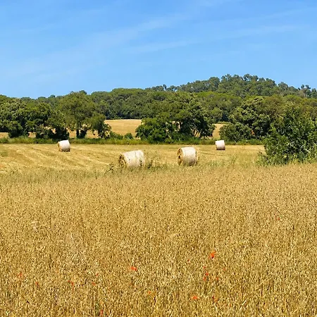 Costa Brava Masia Mas Cathala
